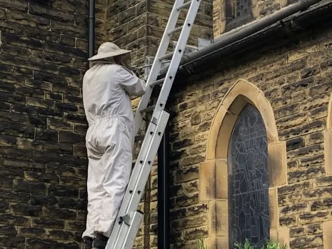 Business listing image