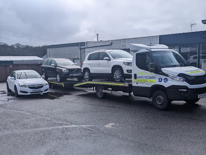 Business listing image