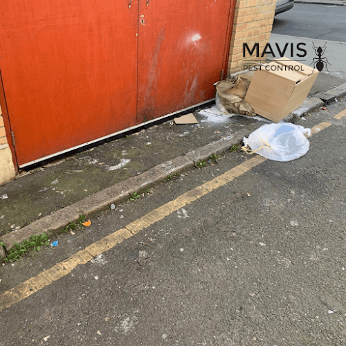 Business listing image