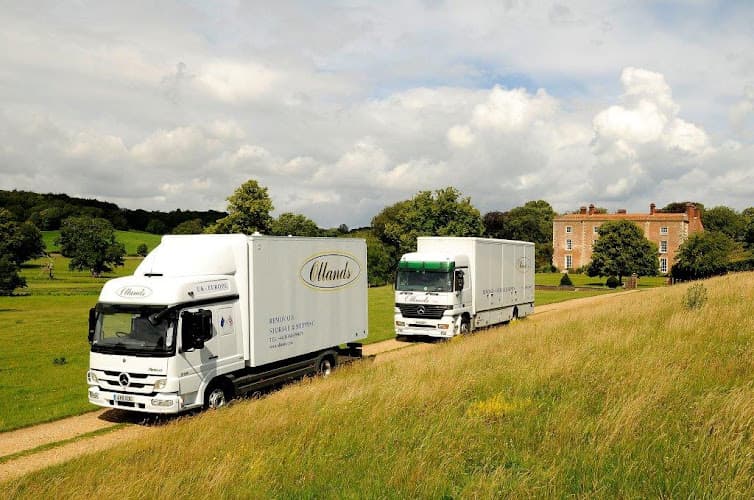 Business listing image