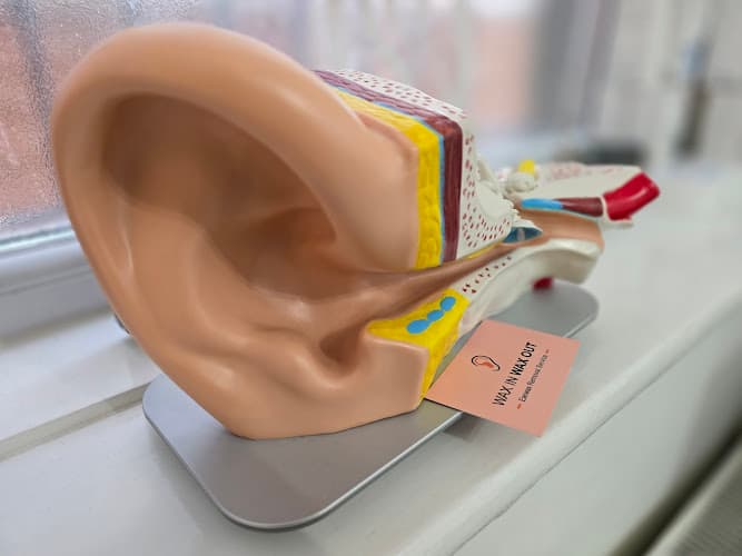 Business listing image