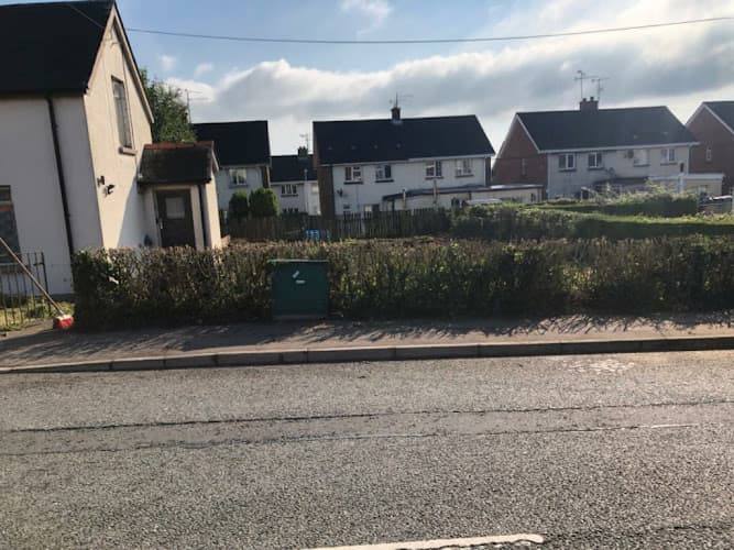 Business listing image