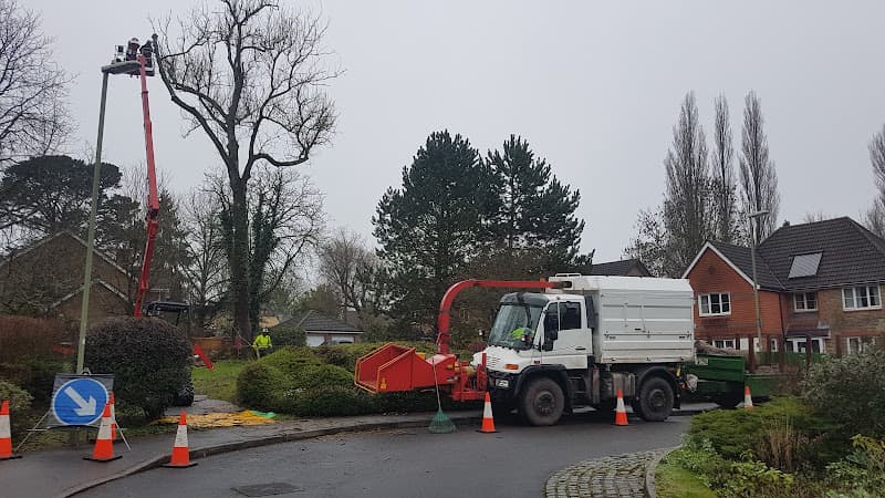 Business listing image