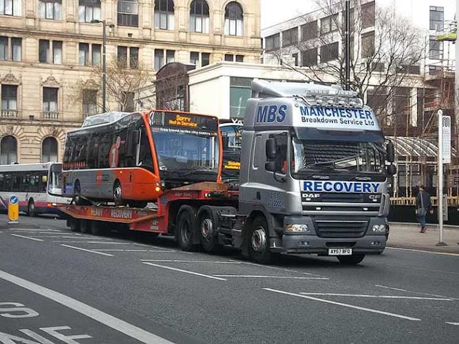 Business listing image